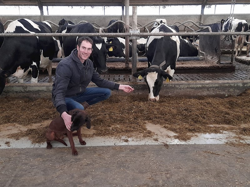 Wibo Van der Linde with a cow