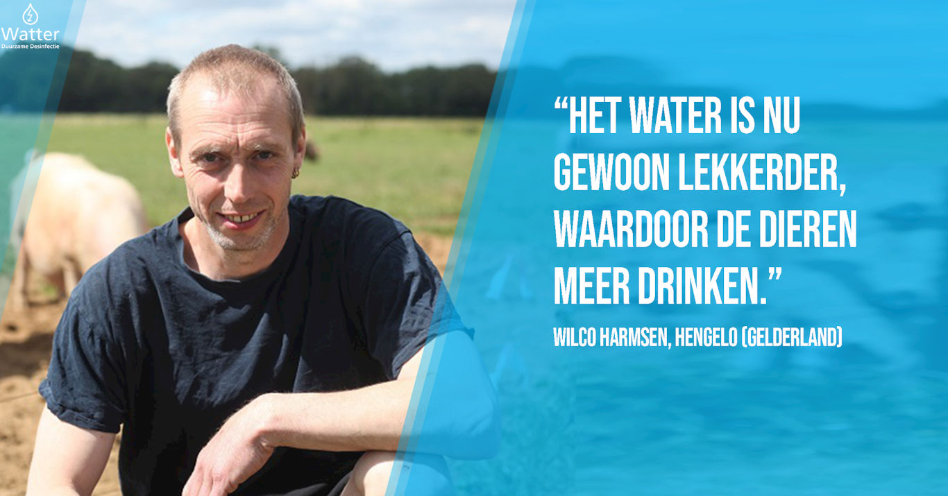 Biologisch varkenshouder Wilco Harmsen uit Hengelo (Gld)