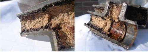 biofilm in leiding