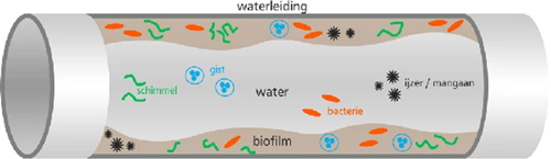 biofilm in waterleiding