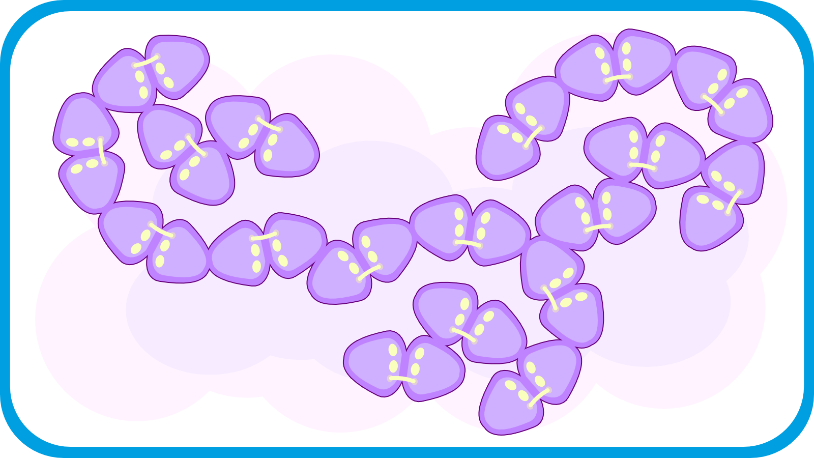 Enterococcus bestrijden en voorkomen met Watter 