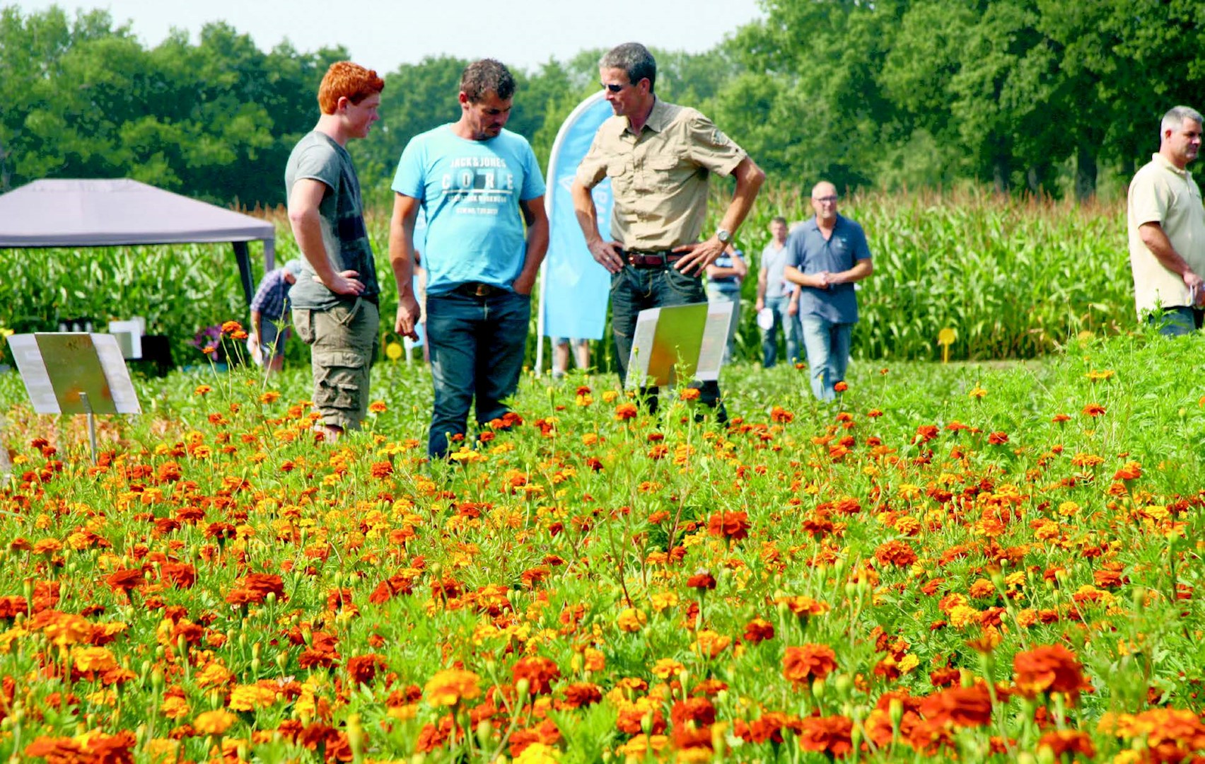 Weijnand Saathof, gewasonderzoeker bij onderzoeksinstituut HLB over Watter