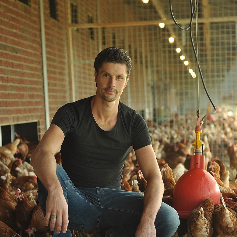 Koos van Ginkel, laying hen keeper, works with Watter