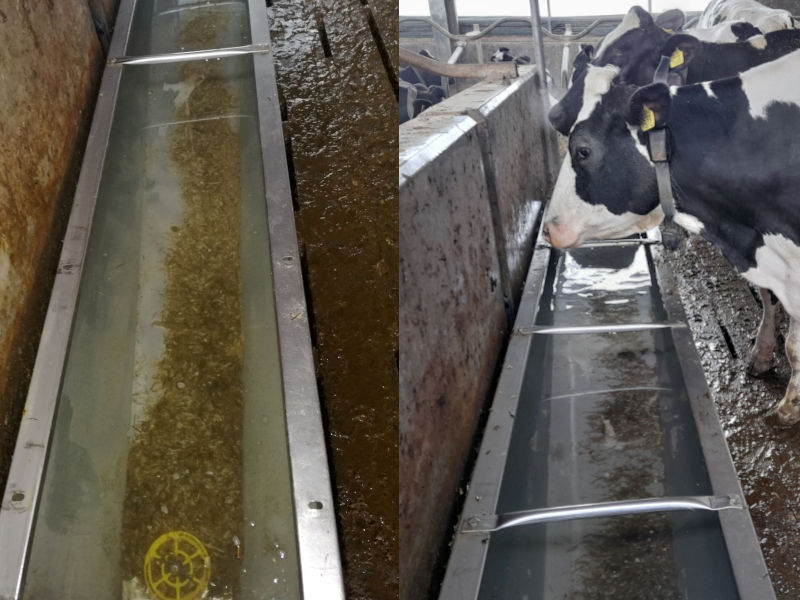 Het drinkwater voor (links) en na (rechts) ingebruikname van Watter