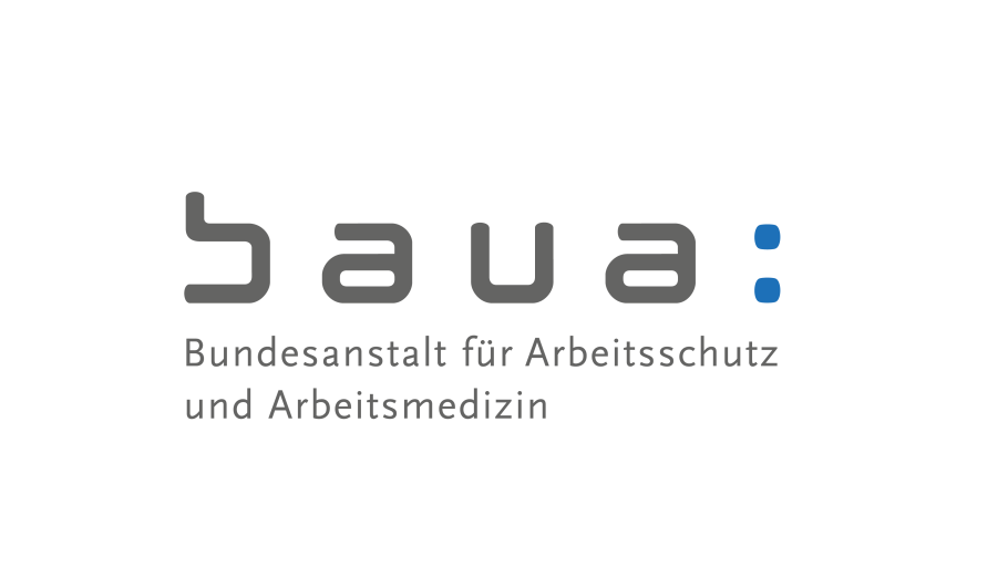 Baua logo