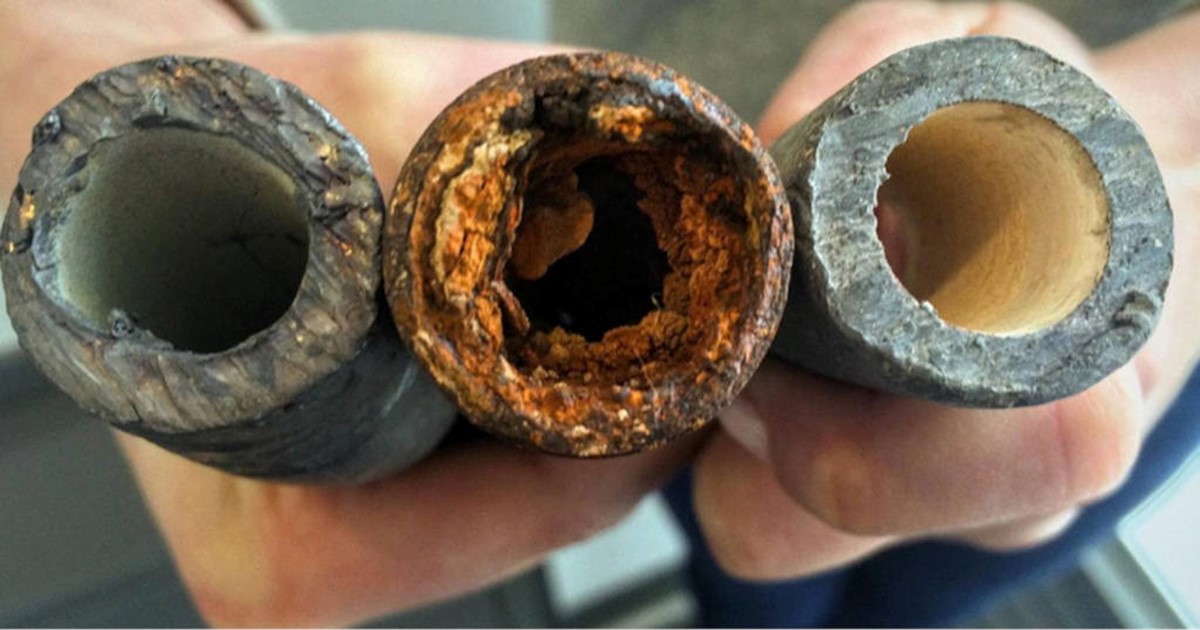 Biofilmbildung in Wasserleitungen (Quelle: Universität von Arkansas)