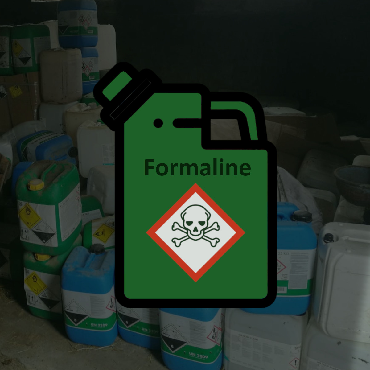 formaline verleden tijd