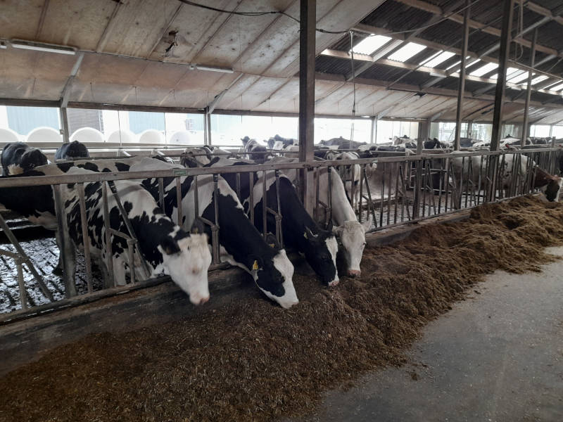 Het rantsoen is de basis. Water is daar het grootste onderdeel van.