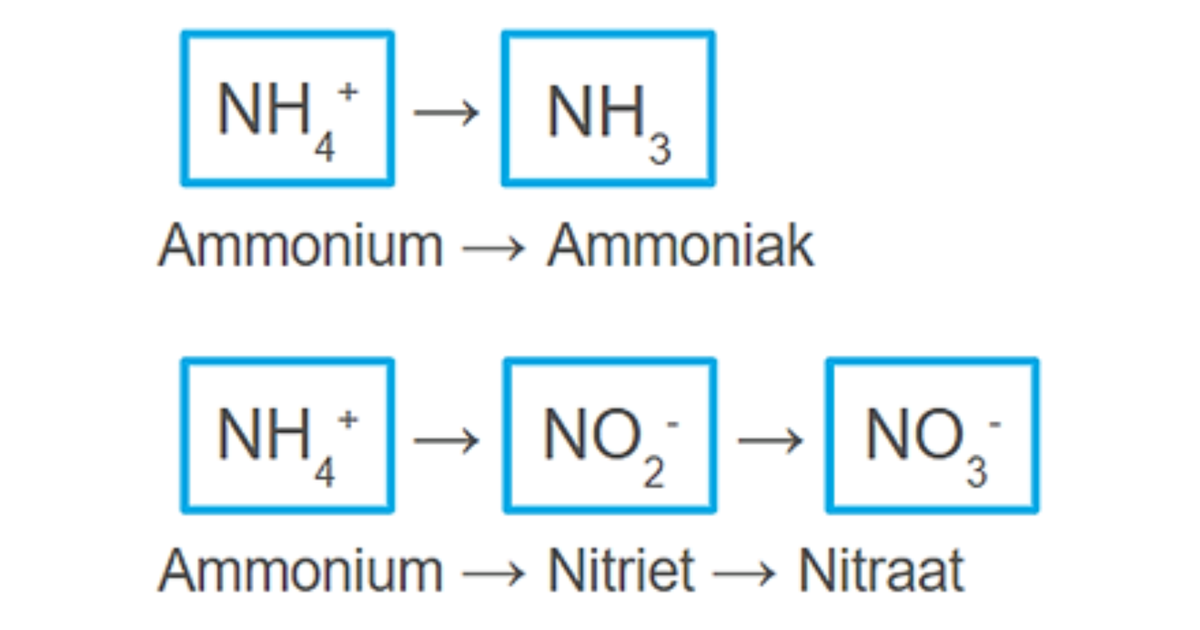 Drinking water quality: What does high ammonium concentration mean?